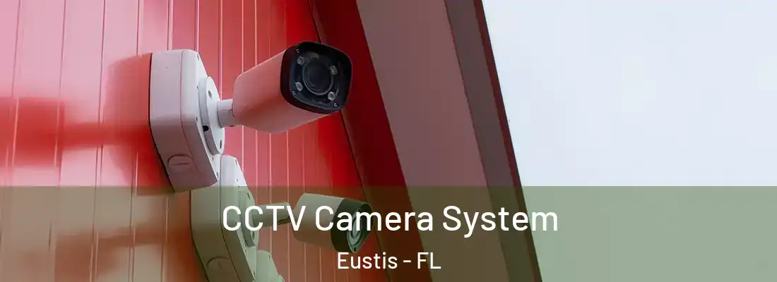 CCTV Camera System Eustis - FL