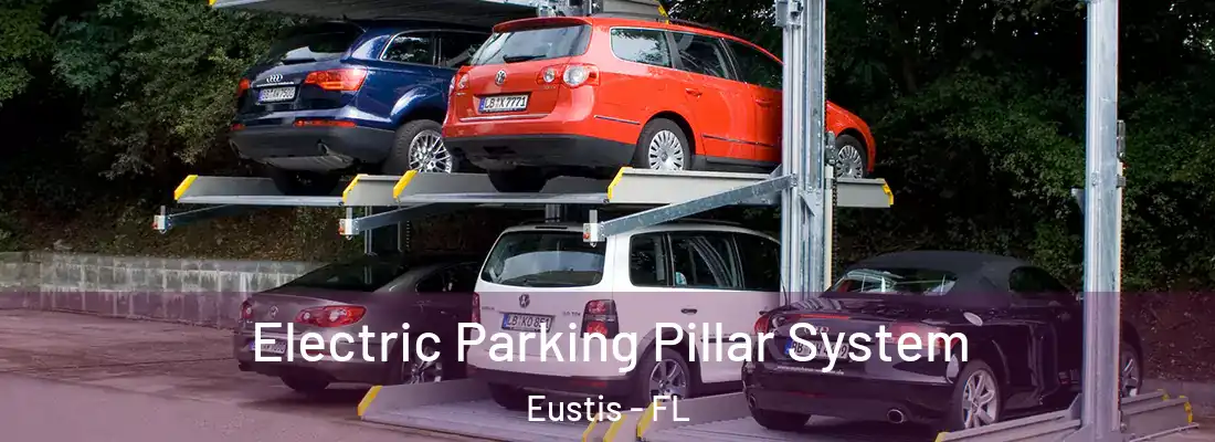 Electric Parking Pillar System Eustis - FL