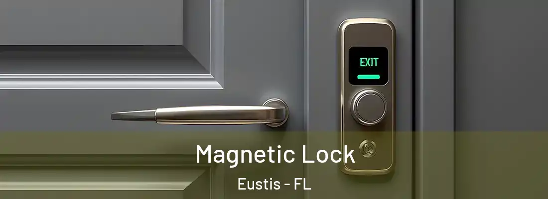 Magnetic Lock Eustis - FL