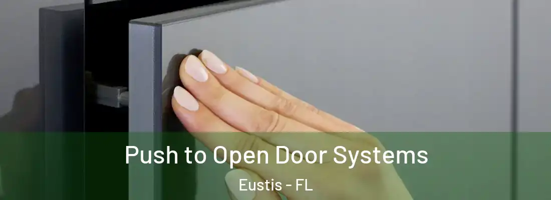 Push to Open Door Systems Eustis - FL